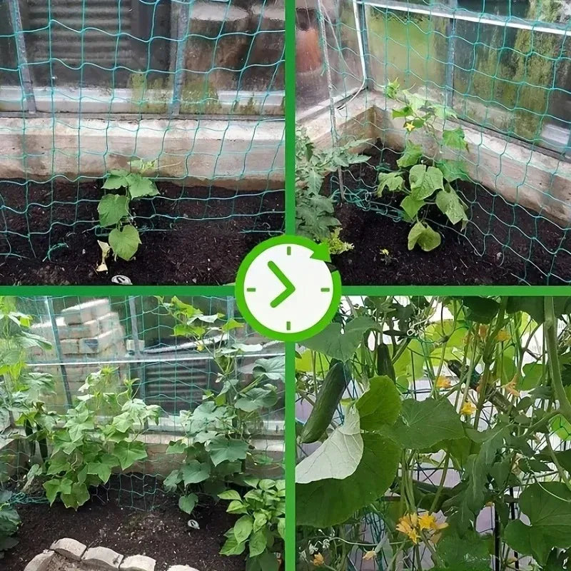 Breathable Plant Trellis Pergola Net Heavy Duty Square Mesh Netting Durable Grow Support for Garden Climbing Plants Oasis Select