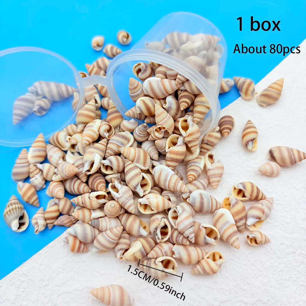 1Box Mini Sea Shells, Tiny Beach Shells,Seasnail For hobby, gift or decoration Art Crafts Projects Fish Tank Vase Fill Oasis Select 1 box