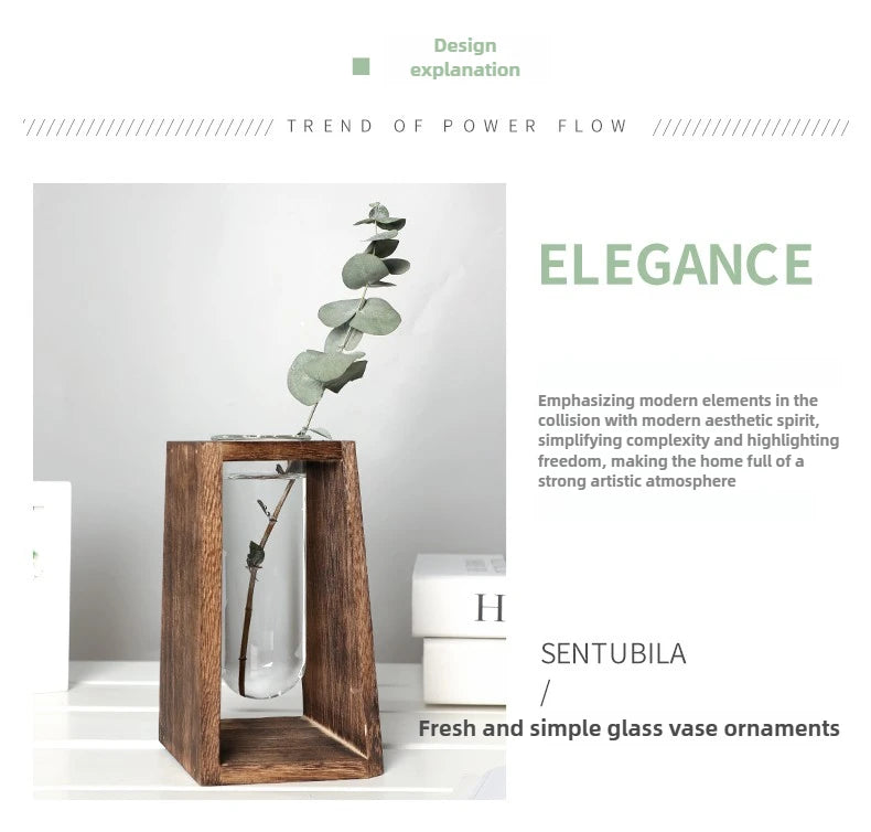 Creative Hydroponic Glass Vases Green Plant and Fresh Flower Arrangements Simple Solid Wood Tabletop Decorative Items Oasis Select