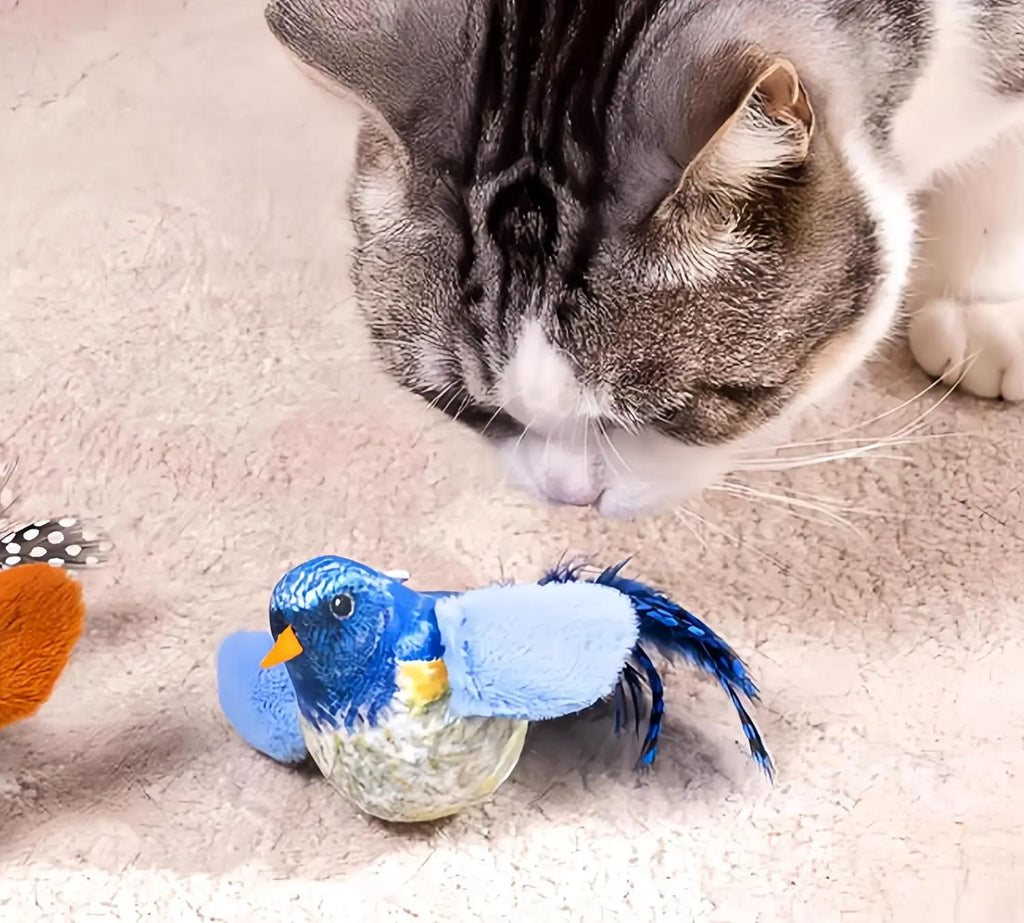 Hanging Cat Toy Real Feathers Catnip Dangling Interactive Teaser Kitten Pet Supplies Indoor Play Exercise Gift Cats New 2026 Oasis Select