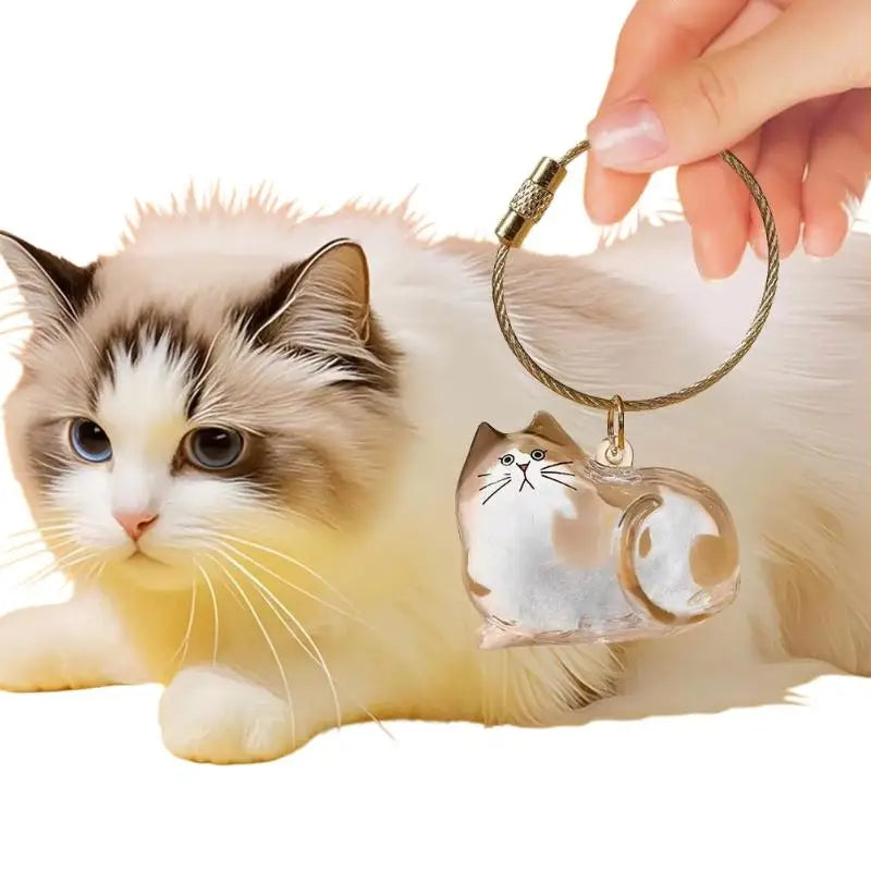 Cat Keychain Pendant Backpack Cat Hair Storage Box Hanging Cat Bag Hanging Pet Hair Grooming Souvenirs Oasis Select