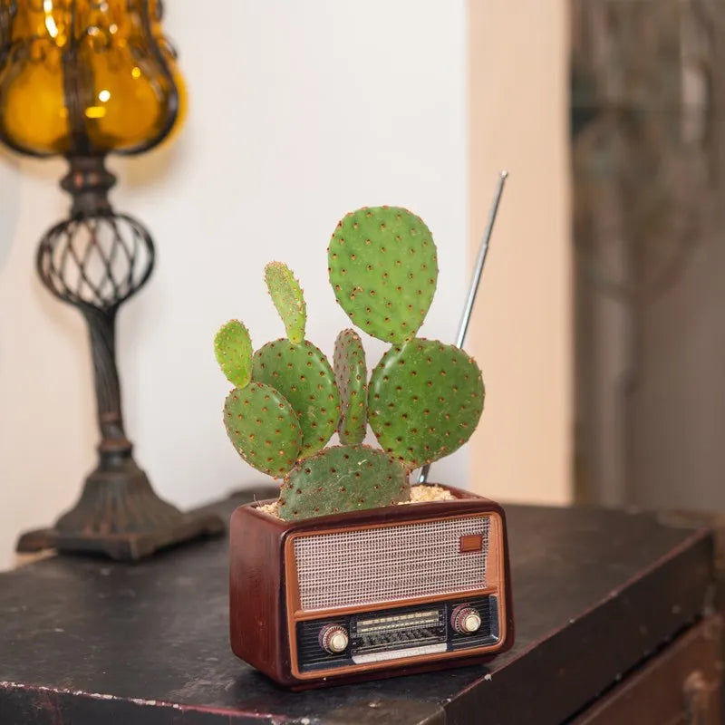 Retro Radio Design Resin Flower Pot Stylish Multipurpose Planter Artistic Home Desktop Plant Decor Ornament Oasis Select