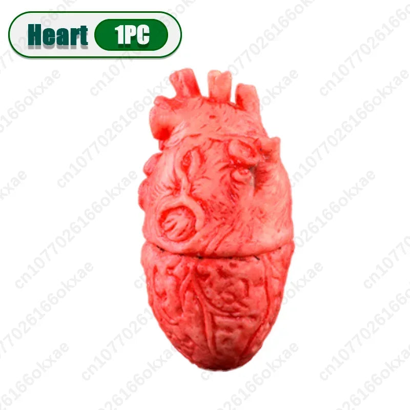 Halloween Fake Human Limbs Props – Hands, Feet, Brain & Heart