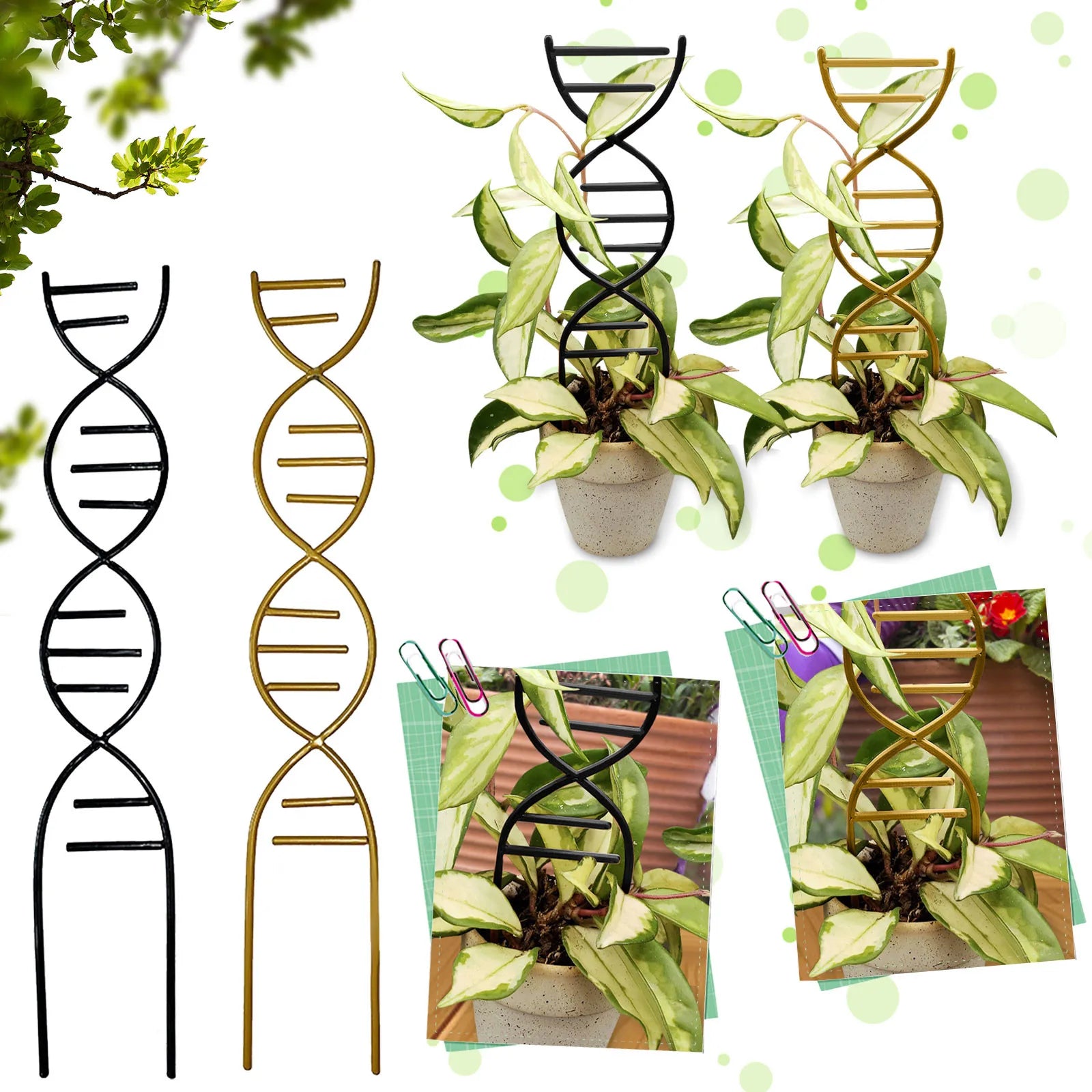 Plant Climbing Support Gardens Flower Pots Use Vine Stand Metal Cross Frame Holder Accessories Bonsai Tool for Seedlings Trellis Oasis Select