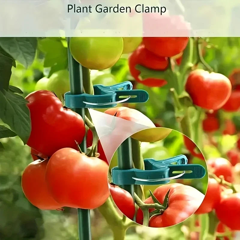 10/30pcs Reusable Garden Plant Clips, Heavy Duty Tomato Vine Fixer, Flexible Stem Support for Cucumber & Flowers, Plant Ties Oasis Select