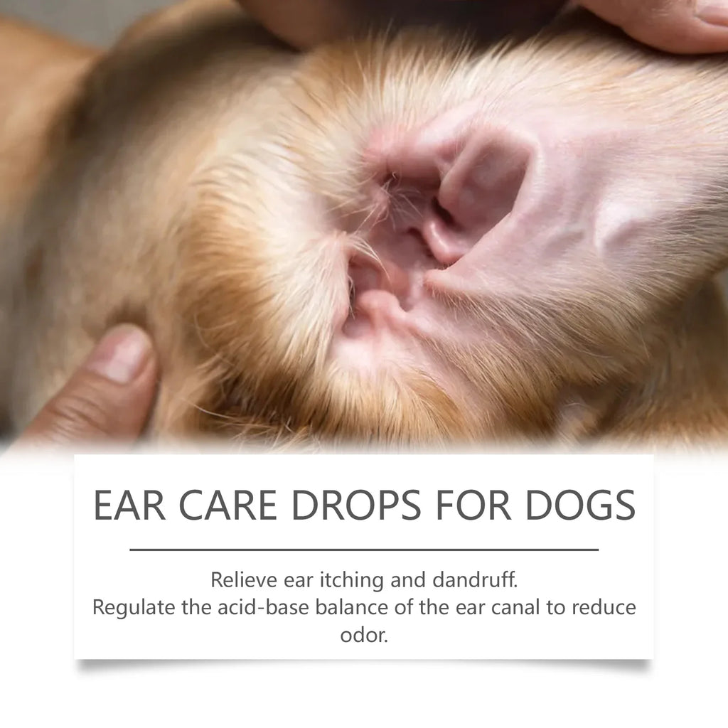 Dog Ear Care Drops Relieve Itching Dandruff Reduce Odor Anti-Fungals Earwax Remover No Irritating Pet Ear Cleaner Liquid 60ml Oasis Select