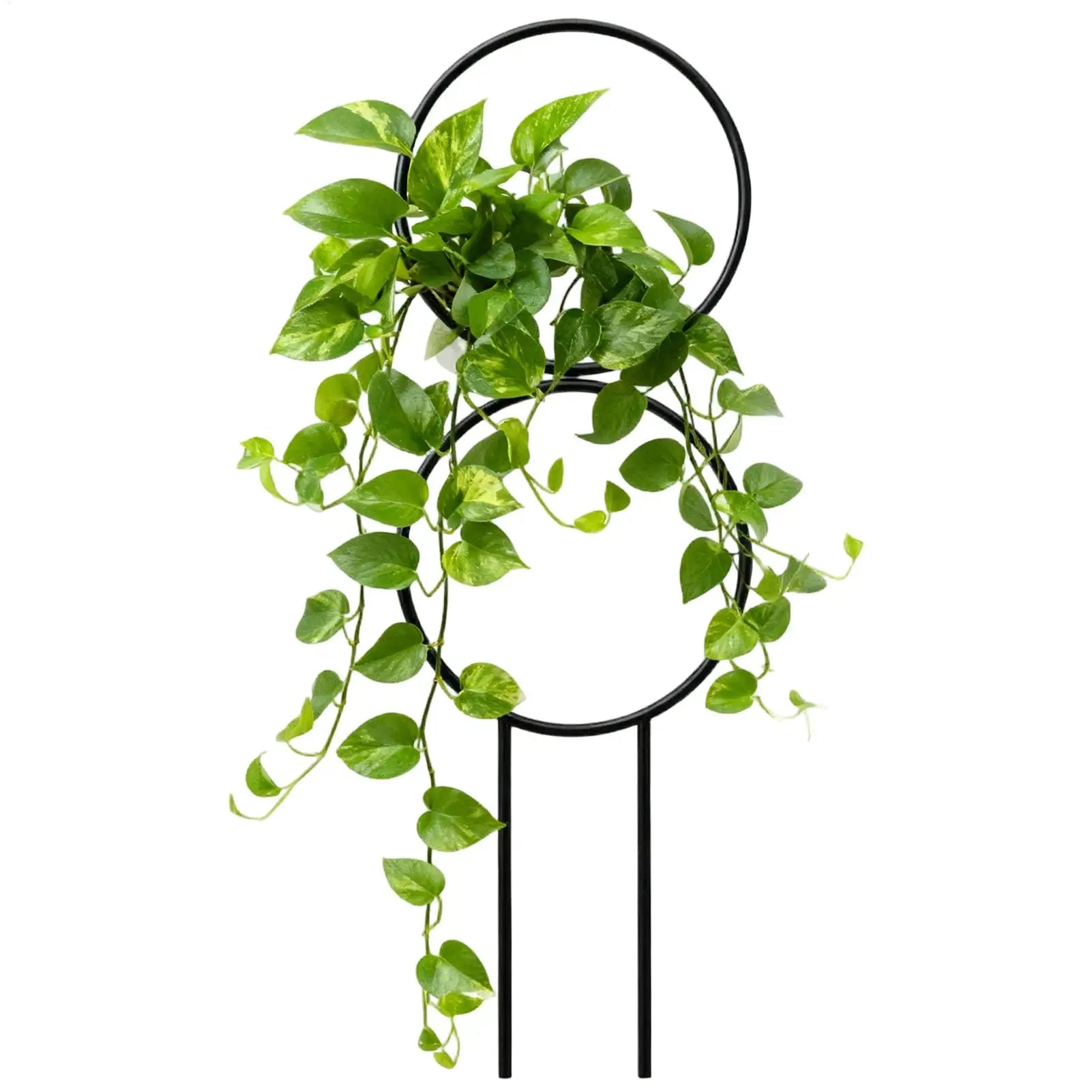 Trellis for Potted Plants Metal Adjustable Support Stake Metal Plant Trellis for Indoor Outdoor Home Wedding Gardening Vegetable Oasis Select