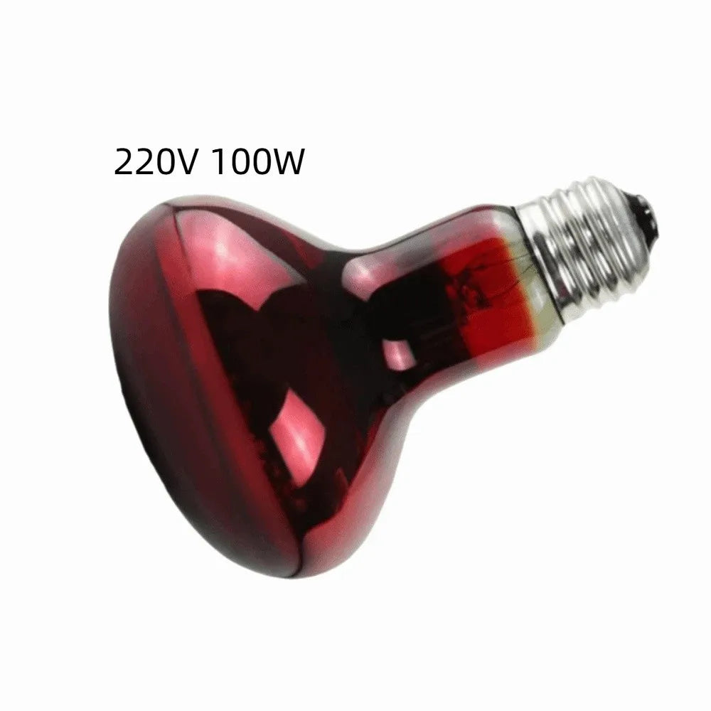 E27 UVA Reptile Heating Lamp 25–100W | Daylight Heat Bulb