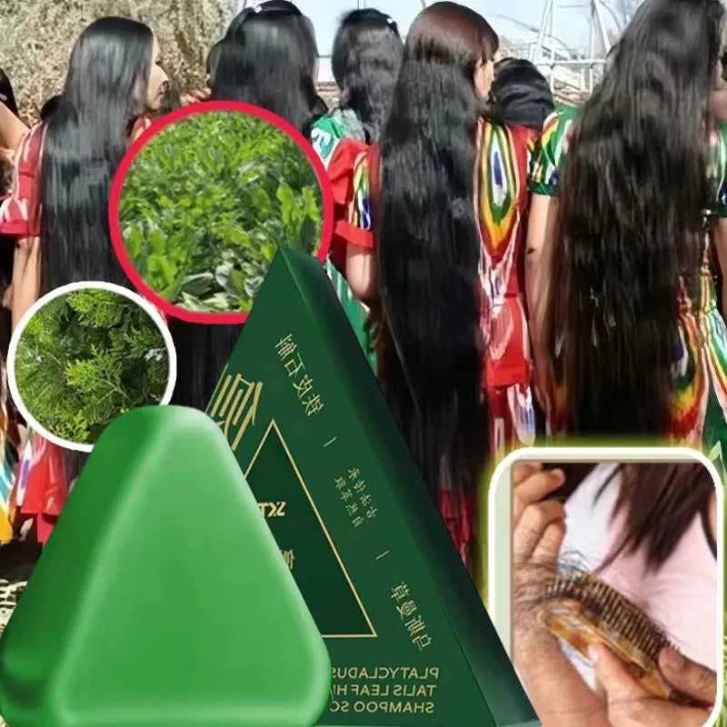 Usman Grass & Platycladus Herbal Shampoo Bar | Strengthen Hair Herbal Shampoo Bar Oasis Select