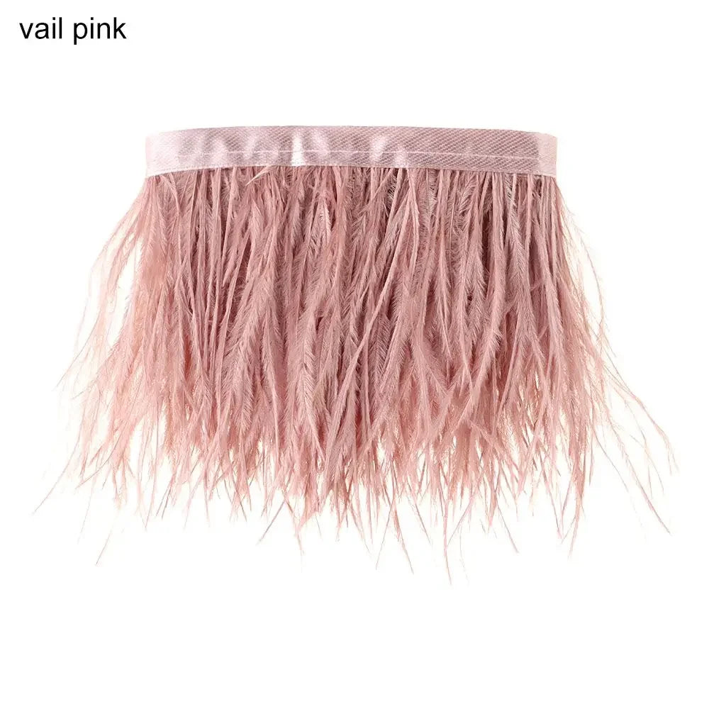 Fashion Ostrich Feathers Trim 1 Meter Long 8-10 CM Wide Plumes Ribbon Selvage DIY Dress Crafts Accessories Feathers Ribbon Oasis Select vail pink
