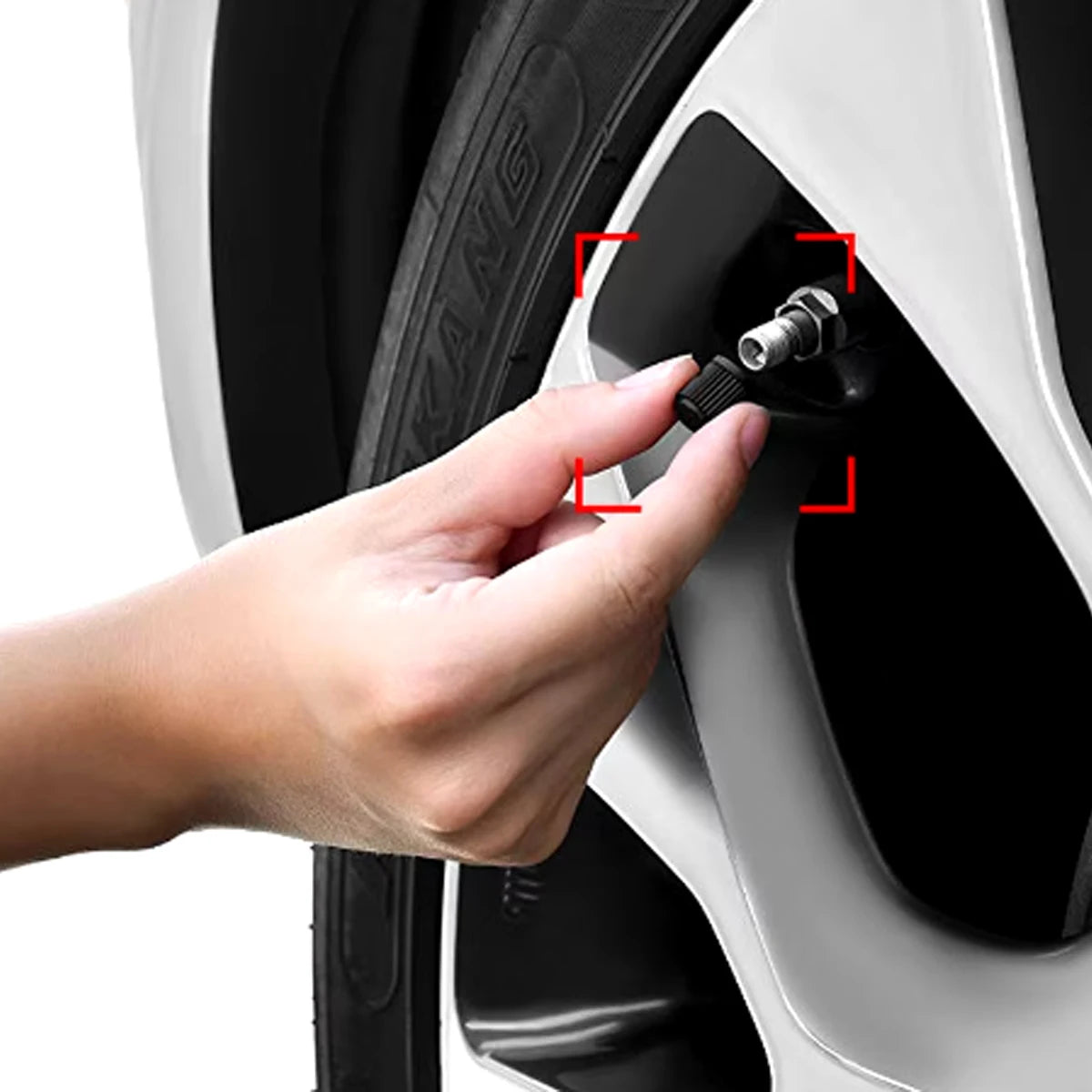 Tire Stem Valve Caps with Rubber Ring Universal Stem Covers rucks Airtight Seal Heavy Duty Cap Decor Covers Dome Shape Dust Oasis Select