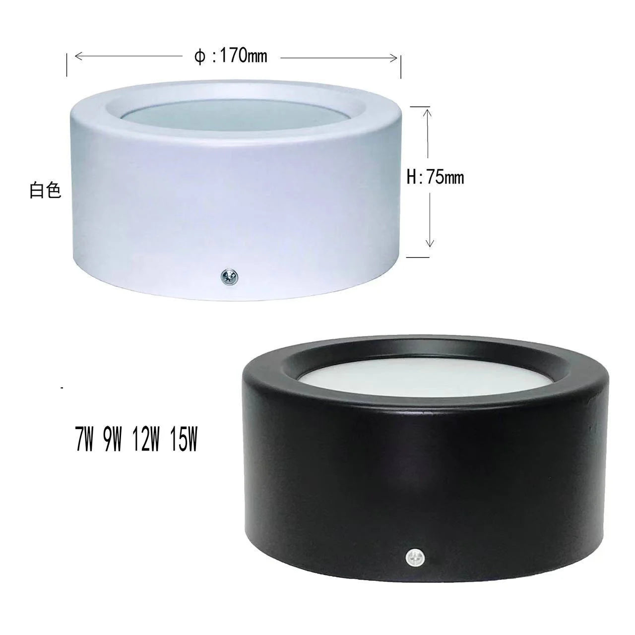 LED Emergency Light, Smart Lamp, Surface Mounted, Downlight, Lighting, Dual Surface, 5Inch, 12W Oasis Select