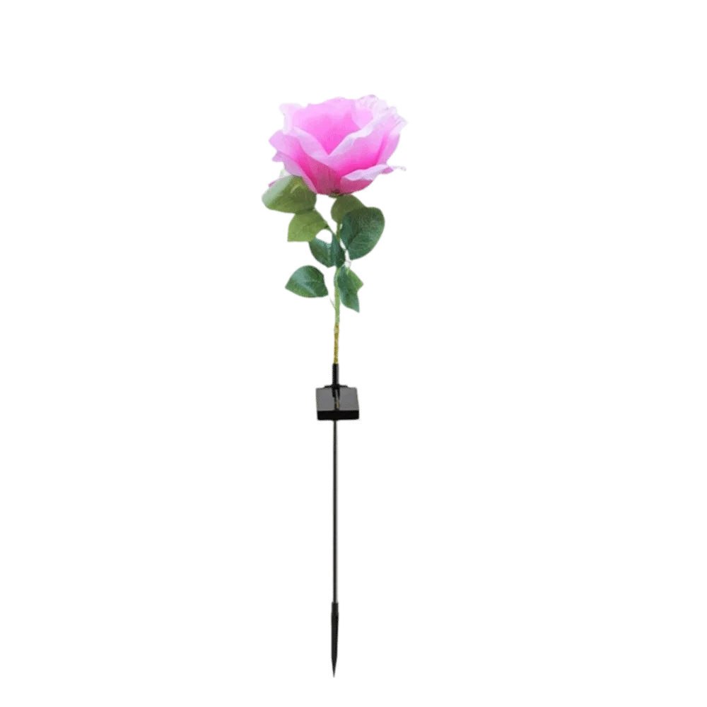 Solar Rose Garden Stake Light | 8 Modes, IP65, 80cm Tall