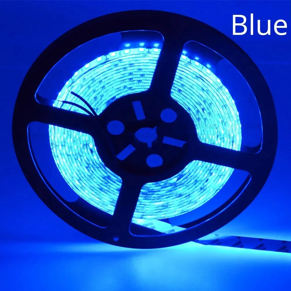 HVIERO 600 LED Strip Light SMD 2835 DC 12V | RGB & Warm White