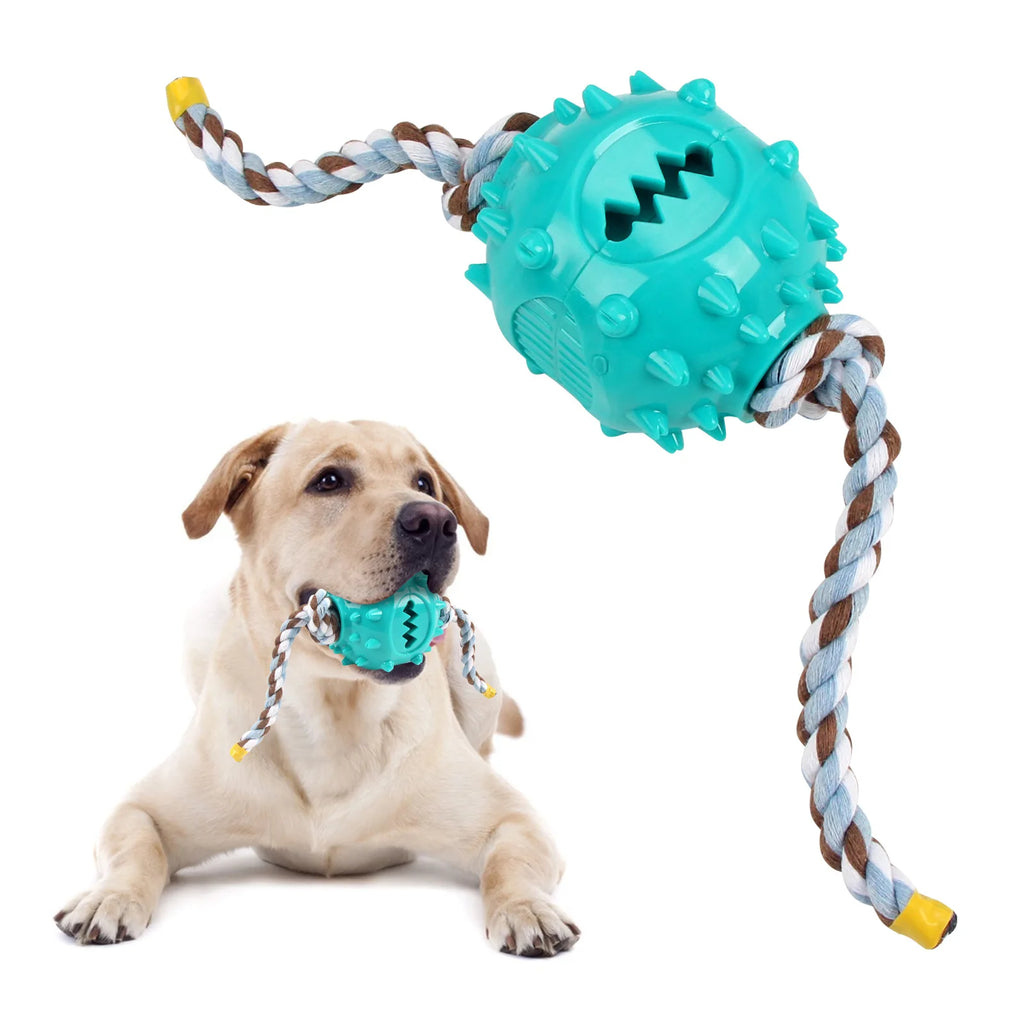 The Toy Self-fun Teething Food Leakage Ball Is Tough To Bite and The Hidden Food Pull Rope Ball Is A Dog Toy That Won't Break Oasis Select 24002-2B