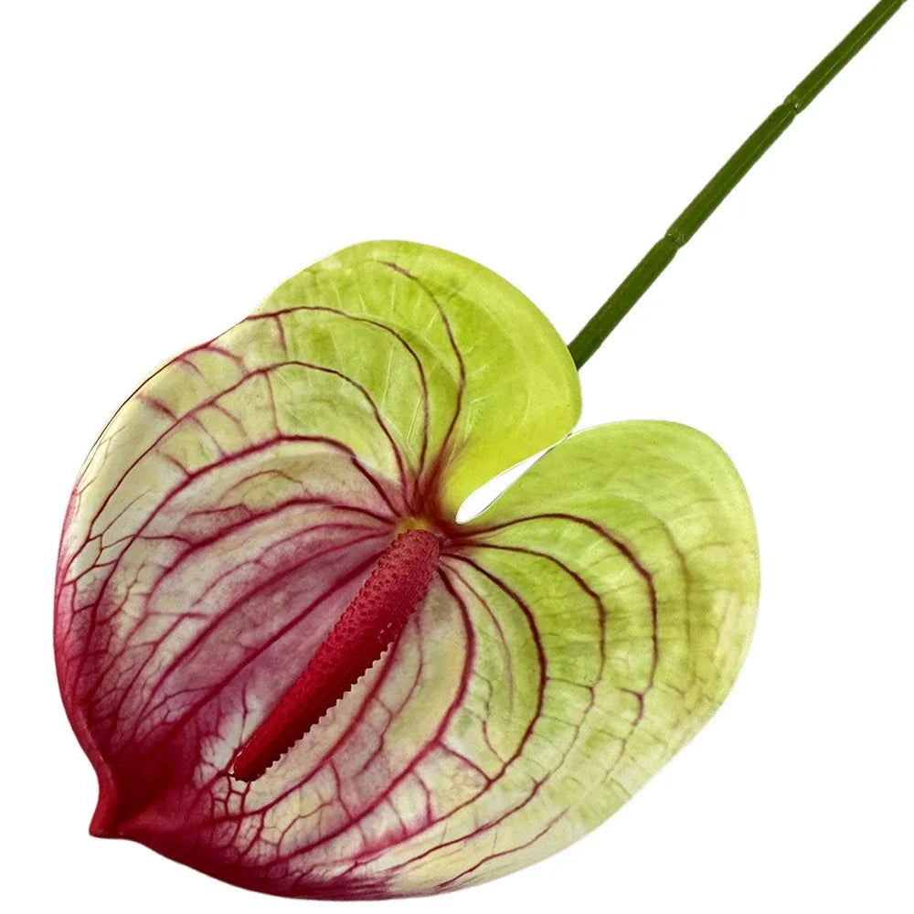Artificial Anthurium 60cm Soft Rubber Faux Flower | Real Touch