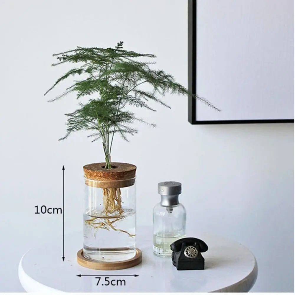 Creative Home Glass Vase Mini Transparent Hydroponic Flower Pot Potted Soilless Green Plant Terrarium Garden Decoration Oasis Select