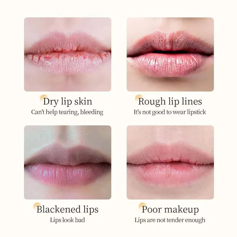 Vitamin E & Honey Lip Balm – Moisturizing Nourishing Lip Care Lip Balm Oasis Select