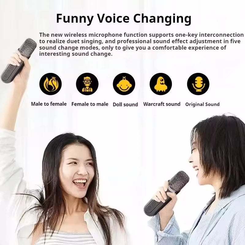 AyeBeau Portable Karaoke Bluetooth Speaker with Microphone