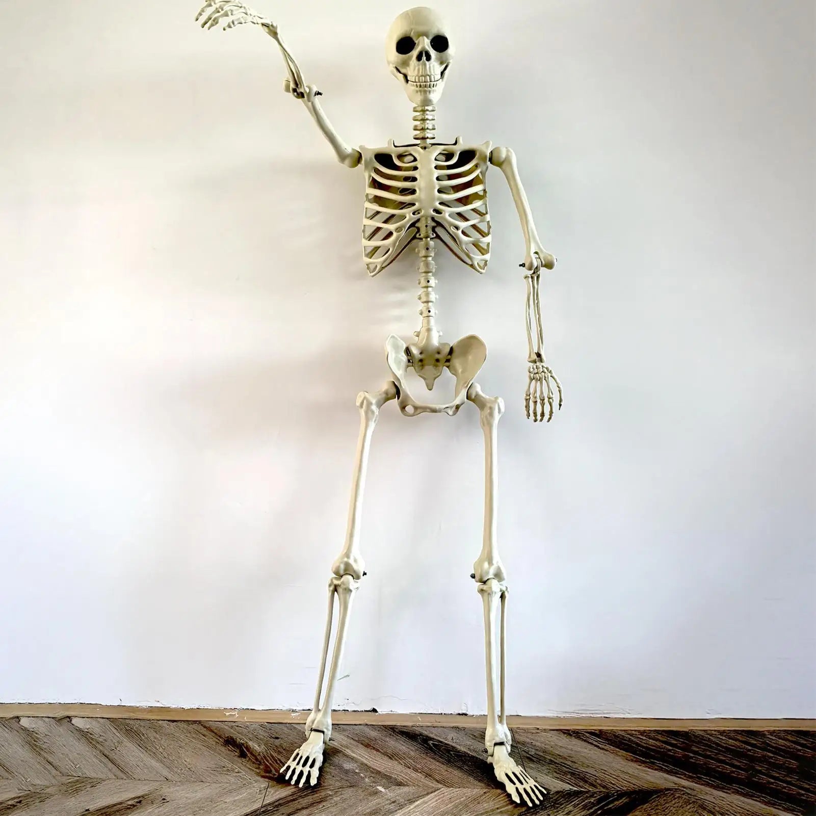 Halloween Skeleton 90cm Halloween Human Shape Posable Human Shape Bones Halloween Herror Decorations Haunted House Horror Props Oasis Select