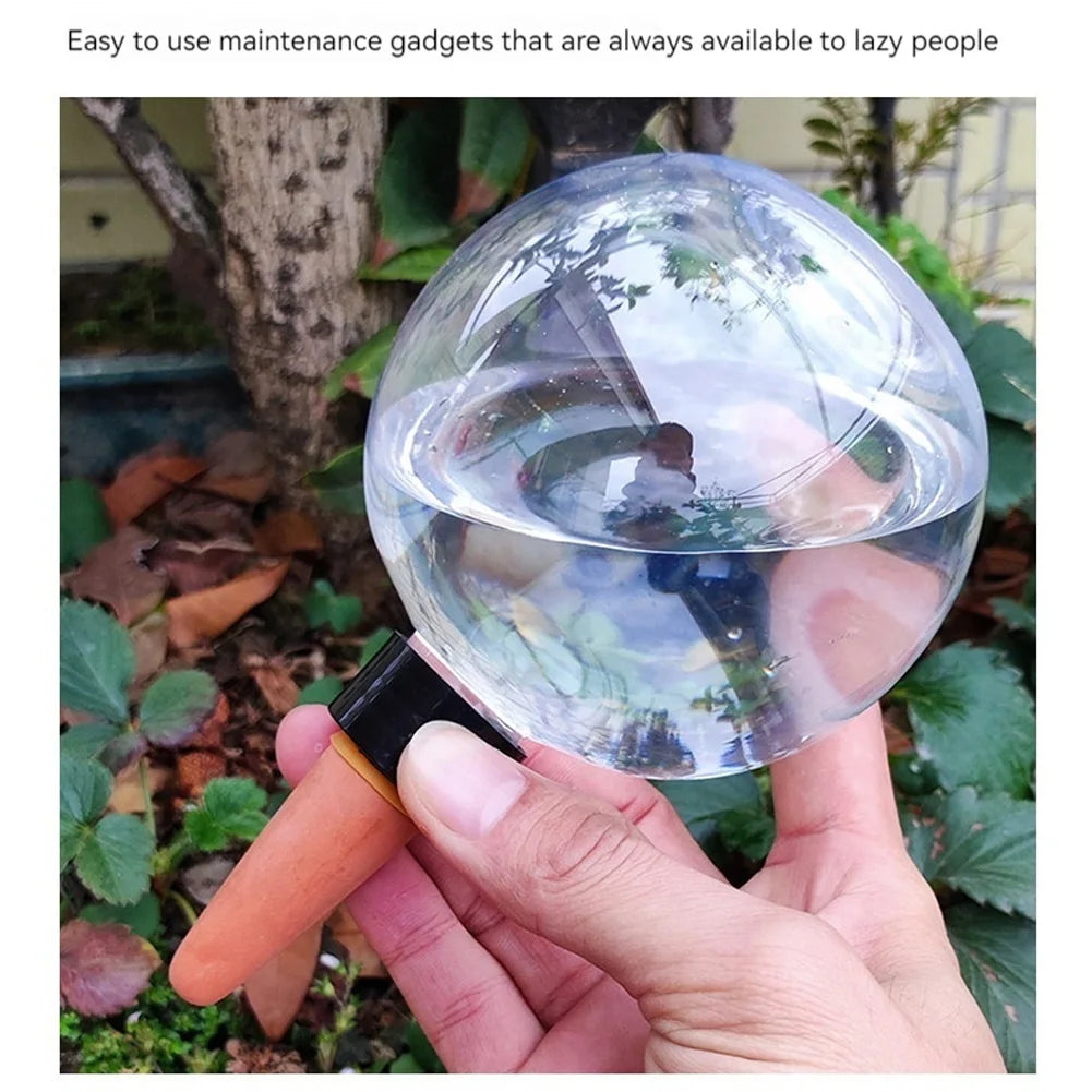 4-Pack Self Watering Globes 500ml – Auto Plant Watering Bulbs Plant Watering Globes Oasis Select