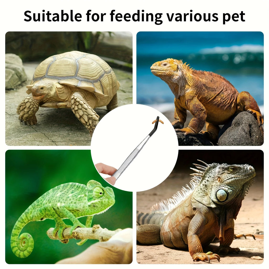 1pc Stainless Steel Reptile Feeding Tongs with Rubber Tips 10.6” Flat Curved Long Tweezers for Bearded Dragons Snakes Aquariums Oasis Select