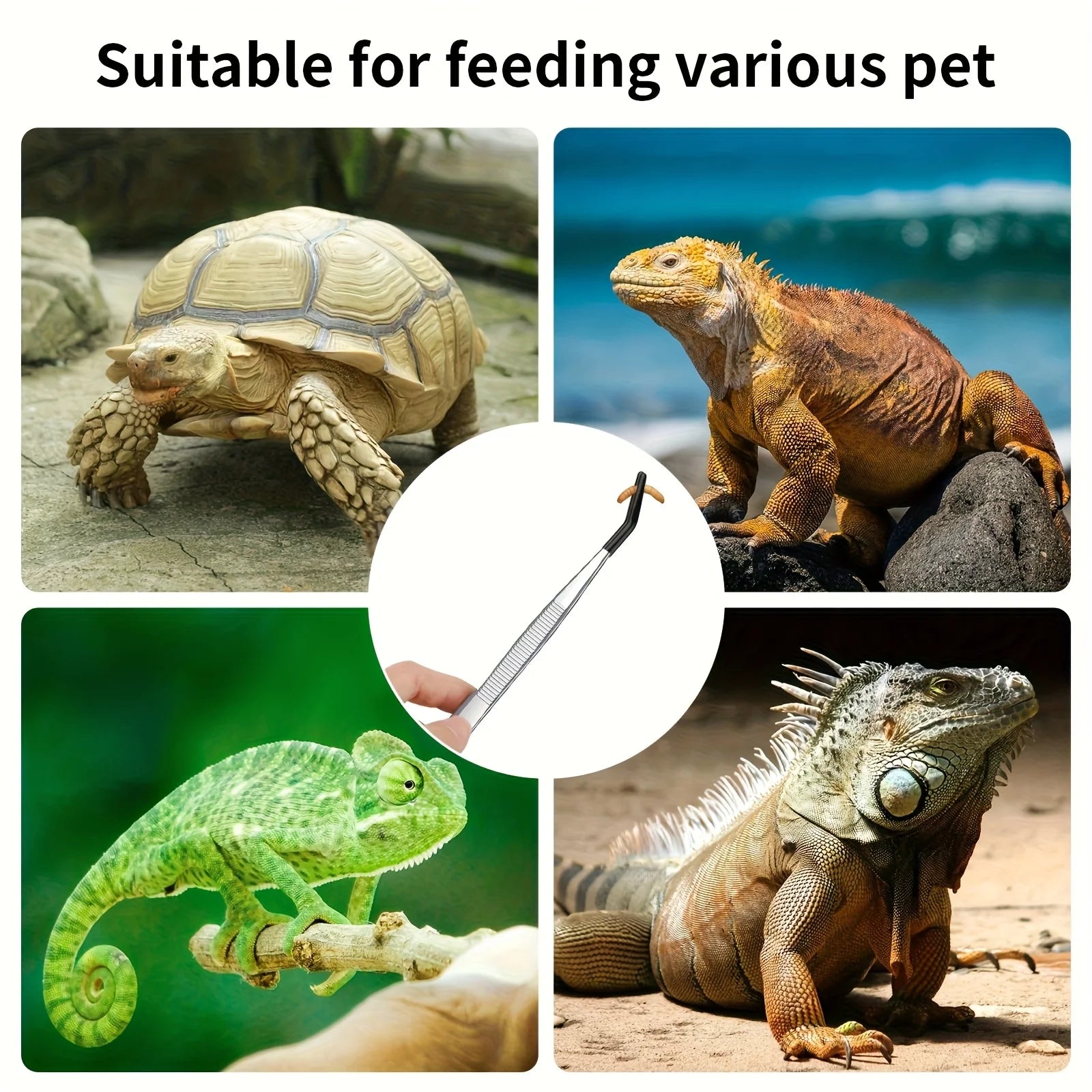 1pc Stainless Steel Reptile Feeding Tongs with Rubber Tips 10.6” Flat Curved Long Tweezers for Bearded Dragons Snakes Aquariums Oasis Select