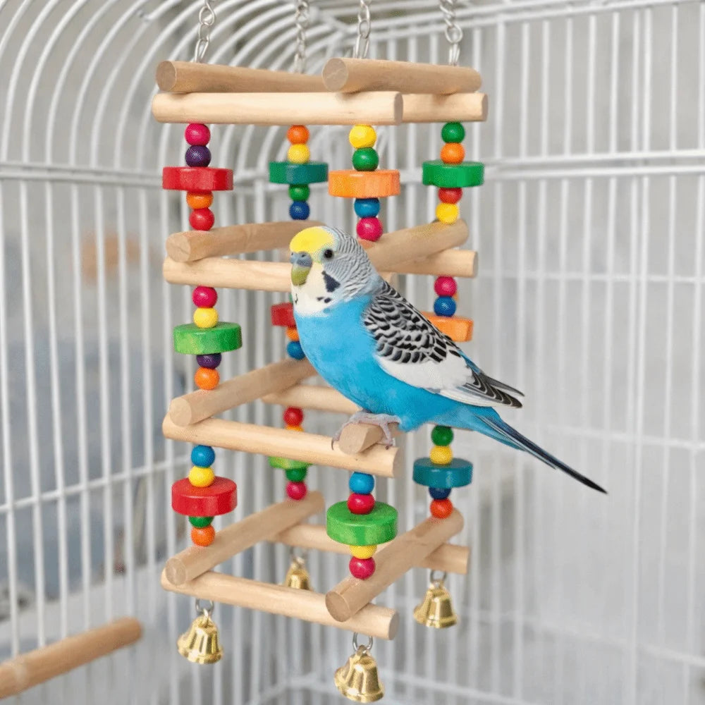 Colorful Wooden Parrot Climbing Ladder Toy with Bells | Bird Cage