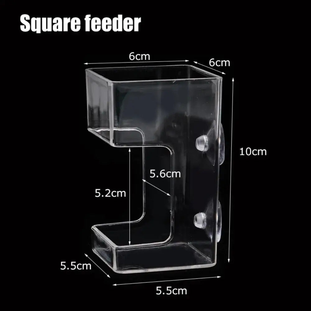 Acrylic Aquarium Feeders Ring Transparent Suction Cup Fish Tank Food Dispenser Fixed-Point Durable Floating Food Tray Feeder Oasis Select