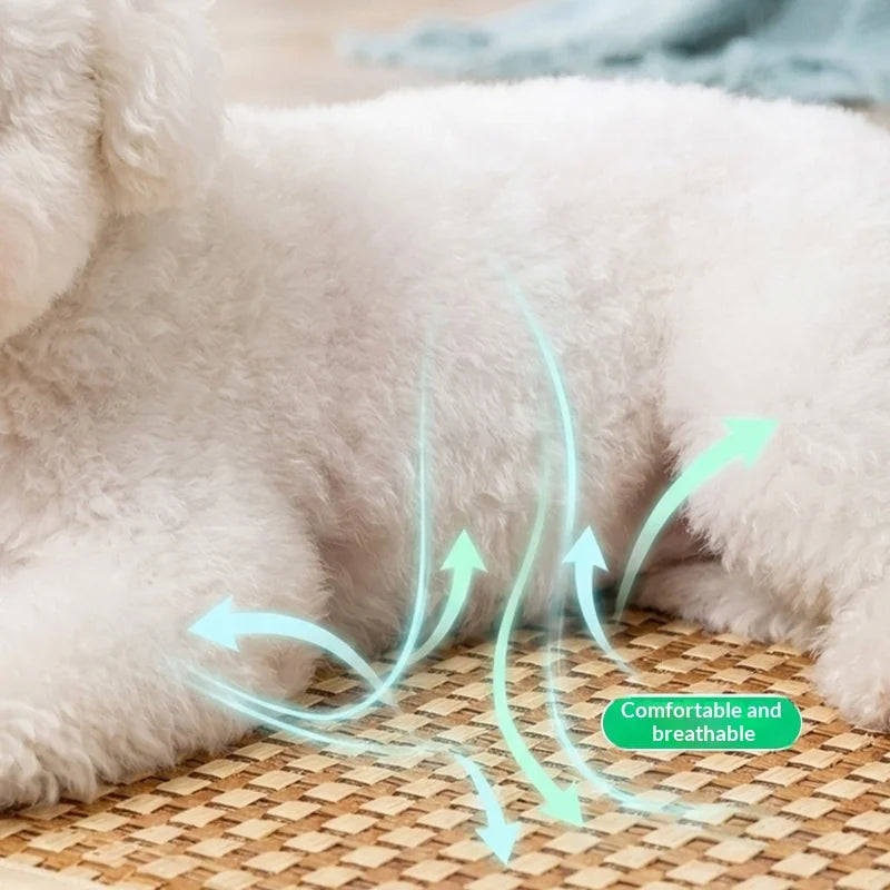 Summer cooling mat dog bed cat bed summer dog house pet supplies for Teddy and small dogs all‑season universal mattress Oasis Select