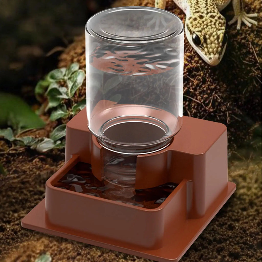 Automatic Reptile Feeder Automatic Detachable Reptile Bowl Tortoise Water Dish Gecko Drink Dispenser for Lizard Chameleon Snake Oasis Select