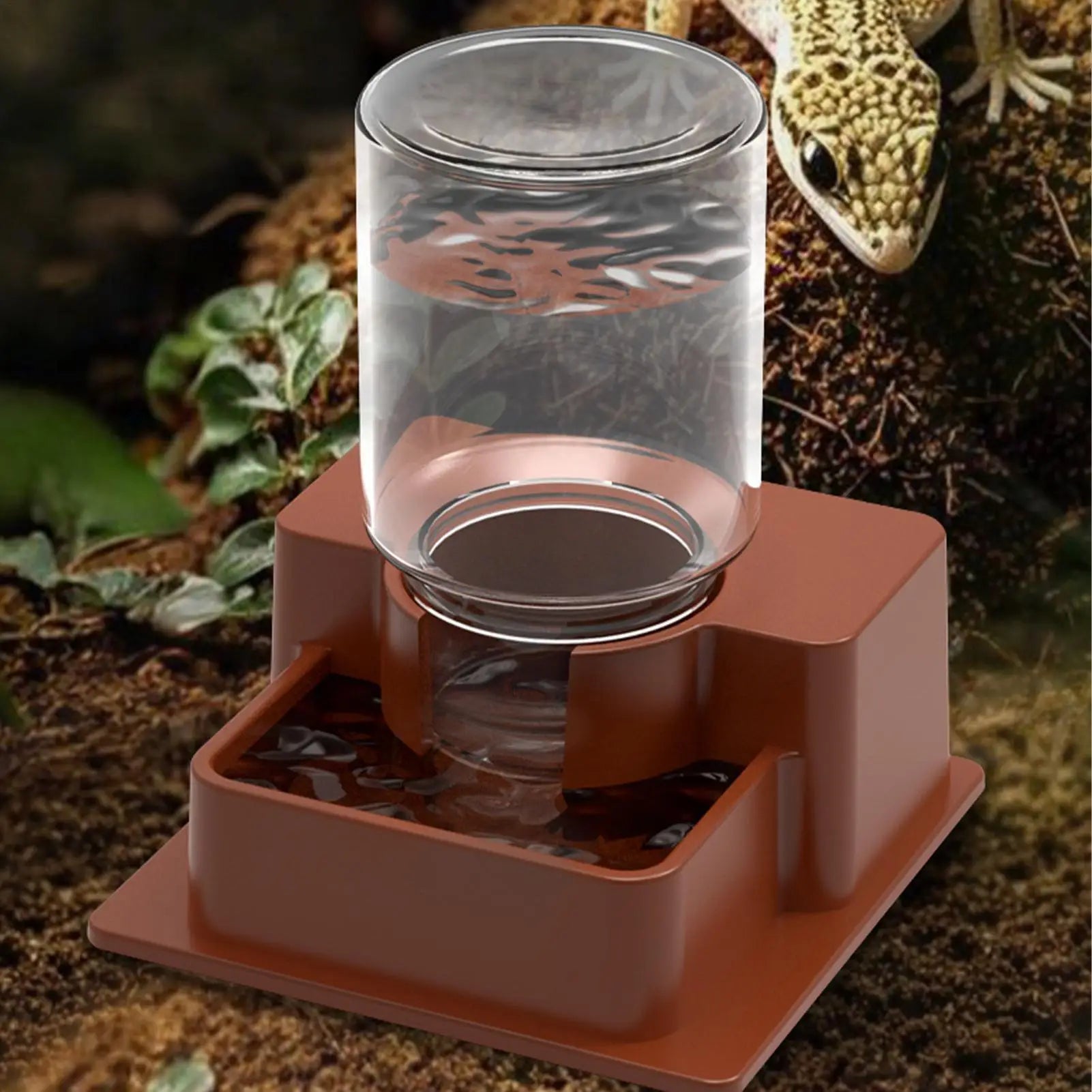 Automatic Reptile Feeder Automatic Detachable Reptile Bowl Tortoise Water Dish Gecko Drink Dispenser for Lizard Chameleon Snake Oasis Select