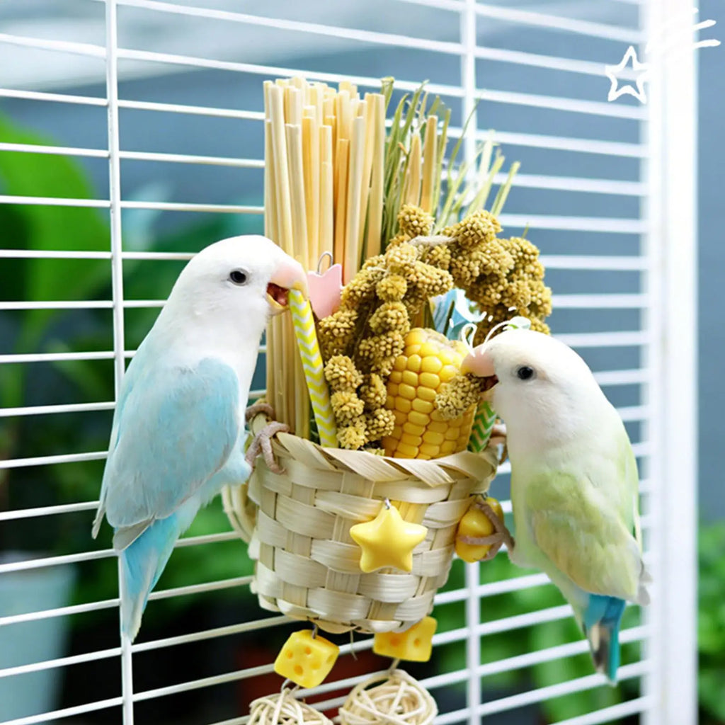 Bird Toys Foraging Chew Pet Supplies Colorful Husk Parrot Toys for Mental Play Training Indoor Finches Lovebirds African Grey Oasis Select