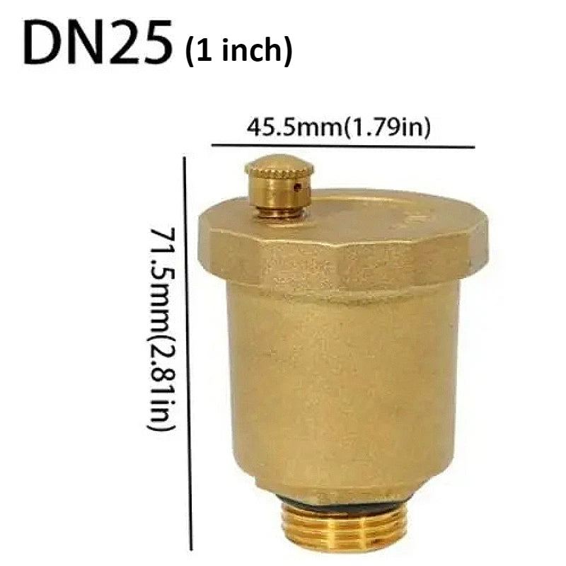 Brass Material Automatic Operation Exhaust Pressure Relief Valve One-way Standard External Thread Pressure Relief Exhaust Valve Oasis Select DN25 1inch
