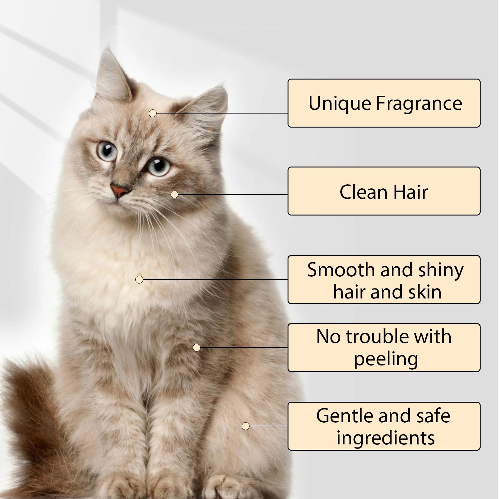 YEGBONG Pet Shampoo for Cats & Dogs – Gentle & Deodorizing Pet Shampoo Oasis Select