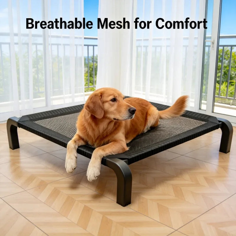 Pet Supplies Foldable Dog Bed All Season Large and Small Dogs Camp Bed Detachable Waable Military Sle Dog House for Summer Use Oasis Select
