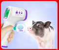 Thermometer Veterinary Equipment Electronic Body Product Contactless Non-Contact Pet Dog Infrared Digital Instant Read Medical Oasis Select battery