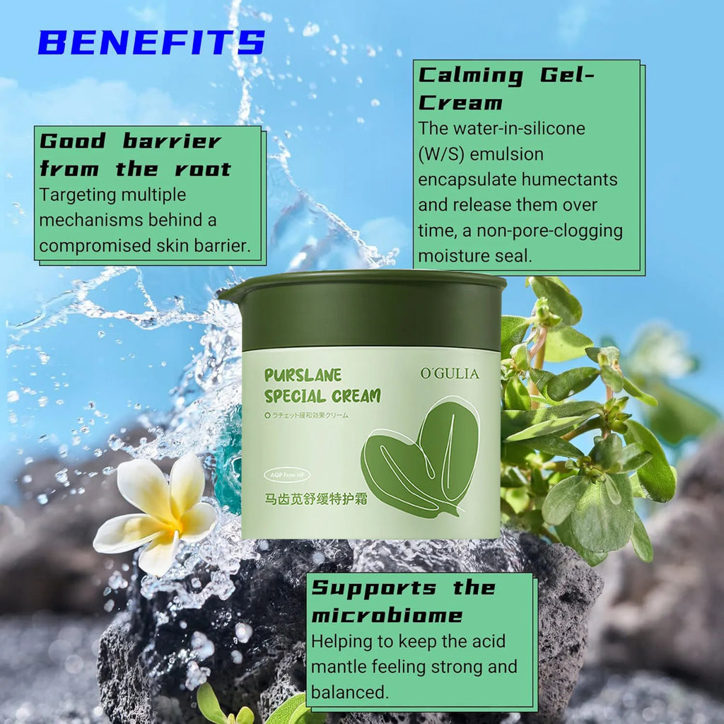 Purslane Facial Cream – Hydrating, Calming Barrier Moisturizer