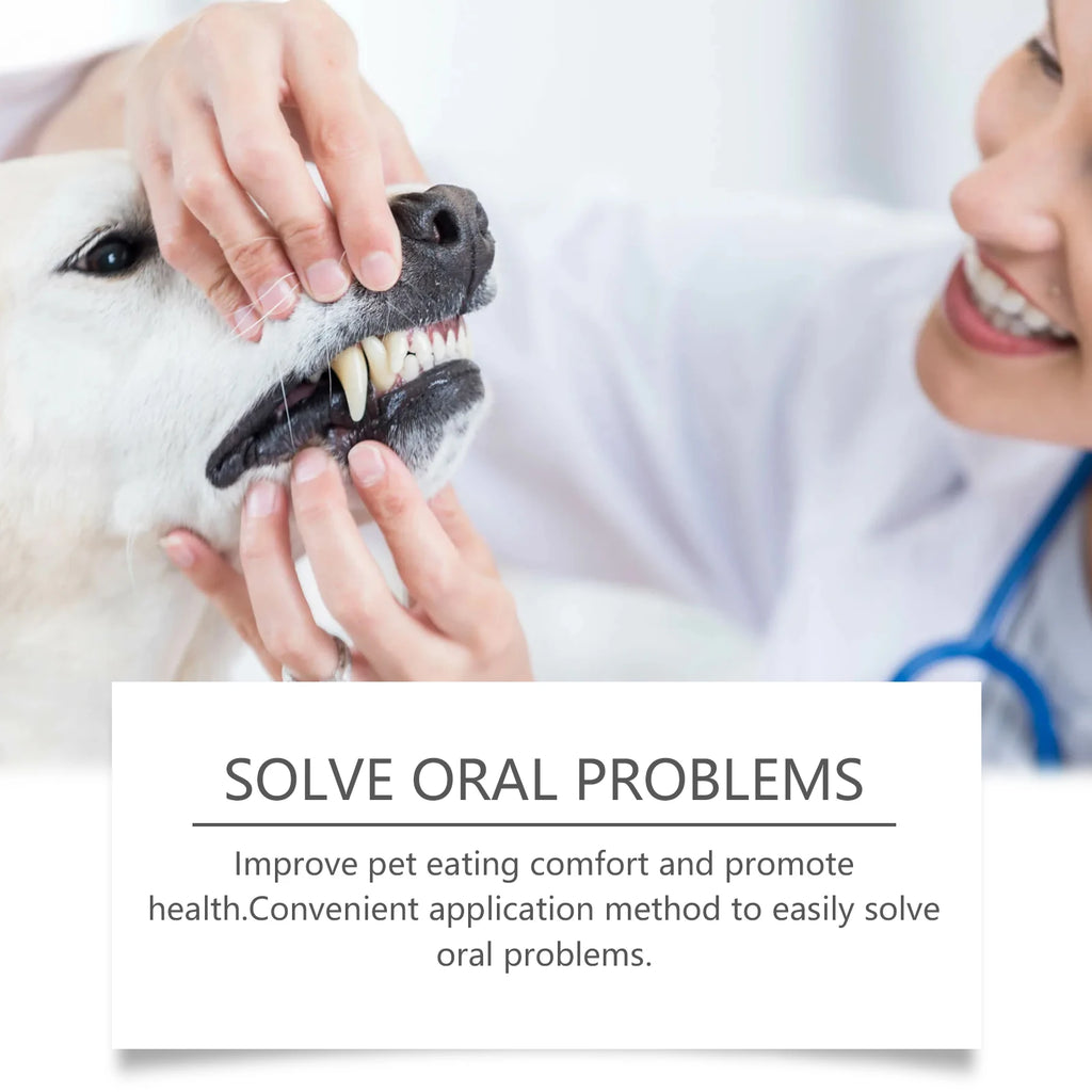 Pet Oral Repair Gel Remove Dental Stains Keep Pet Breath Fresh Reduce Tooth Yellowing Reduce Odor Portable Pet Oral Cleaner 3ml Oasis Select