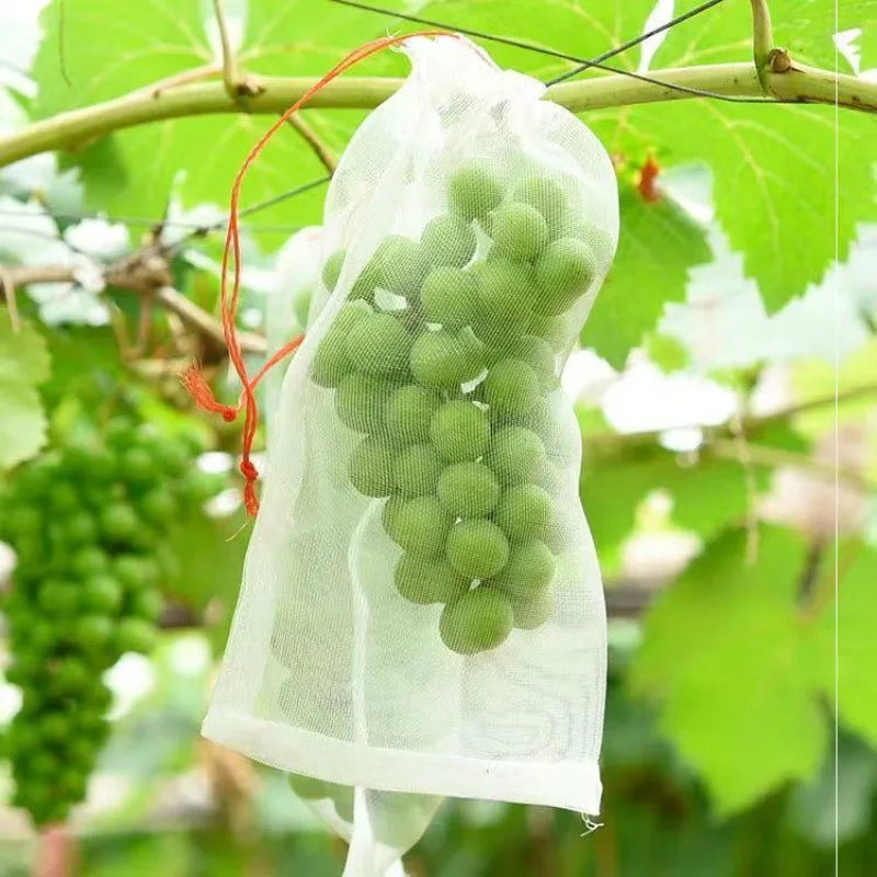 Garden Farm Nylon Net Bags: Ideal for Fruit Protection, Insect Exclusion, Bird Deterrence, Rice Seed Storage, Breeding Purposes Oasis Select