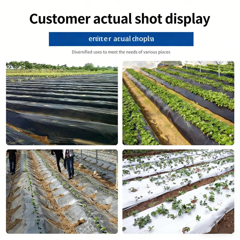 Durable Perforated Weed Barrier Fabric Black Grass Proof Coth for Vegetable Cultivation Farms Gardens Prevent Weeds Growth Oasis Select