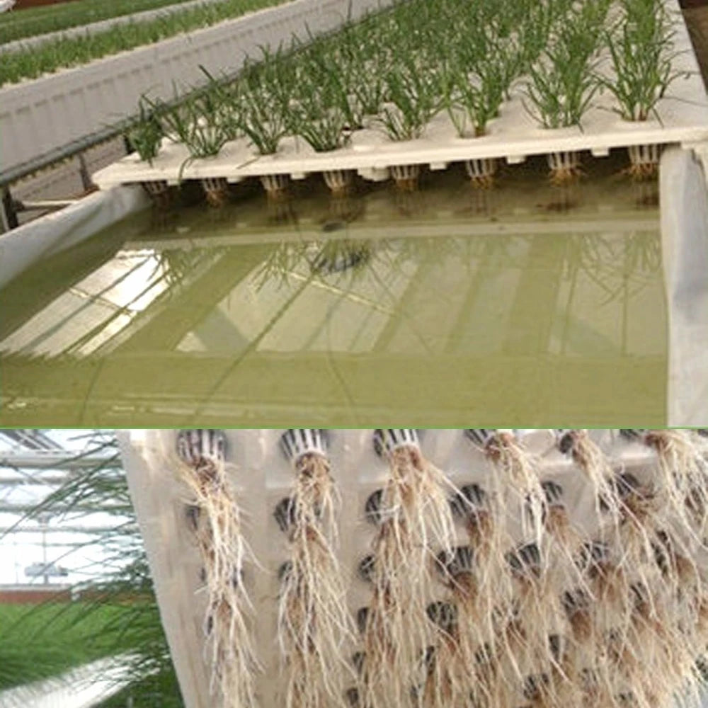 50PCS Plant Net Cup & 50PCS Cylinders Sponge For Hydroponics Aquaponics Orchids Plant Starting UV Resistant Plastic Net Cups Oasis Select