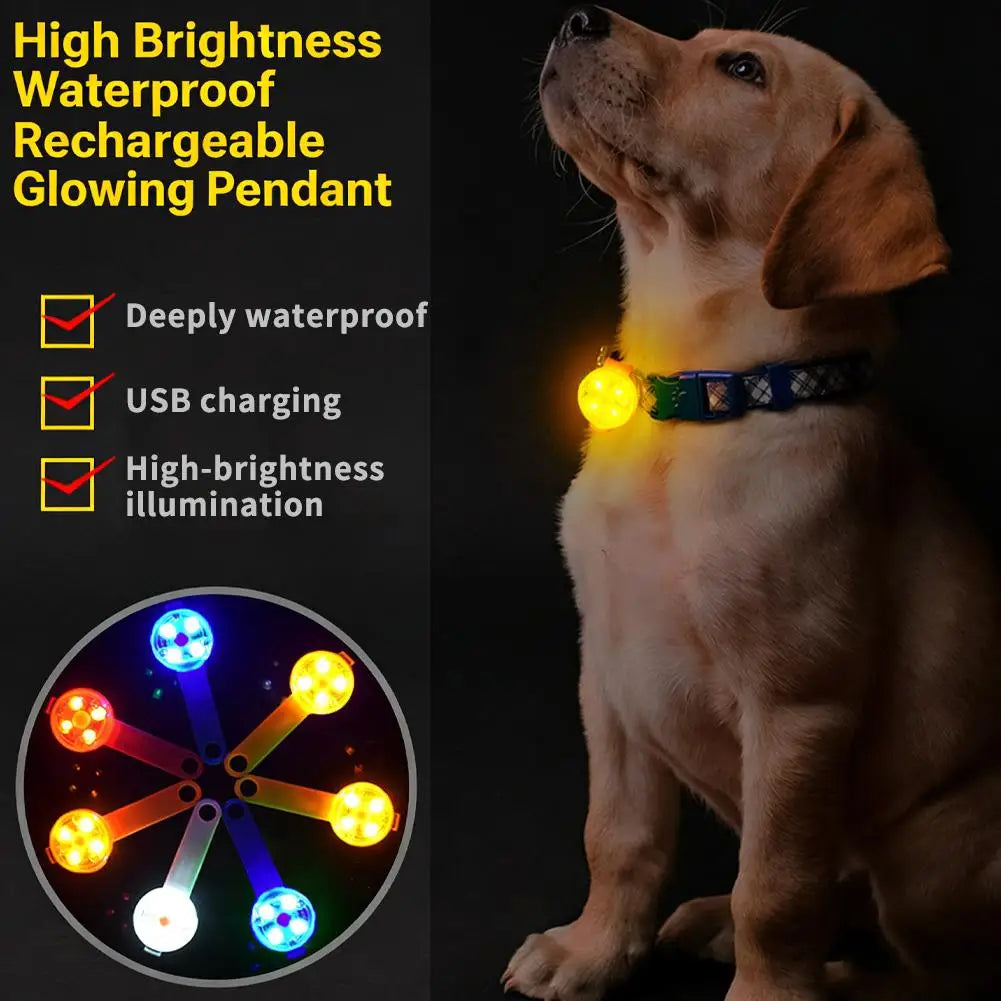 Rechargeable LED Dog Collar Light – Waterproof Night Safety Pendant
