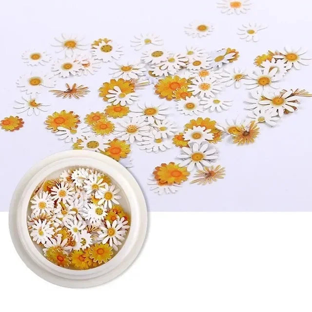 1/3/4Pcs Mixed-color Dried Flowers Resin Craft Dry Flowers Nail Art Decoration Natural Ultra-thin Mini Nail Flowers Oasis Select 01