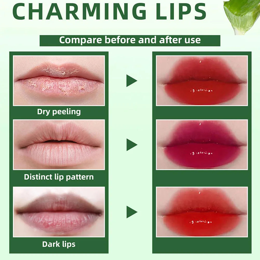 6 Color Lip Tint Stain Set Plumping Liquid Lipstick Aloe Vera Watery Lip Stain Lip Gloss Multi-use Moisturizing Lip & Cheek Tint Oasis Select