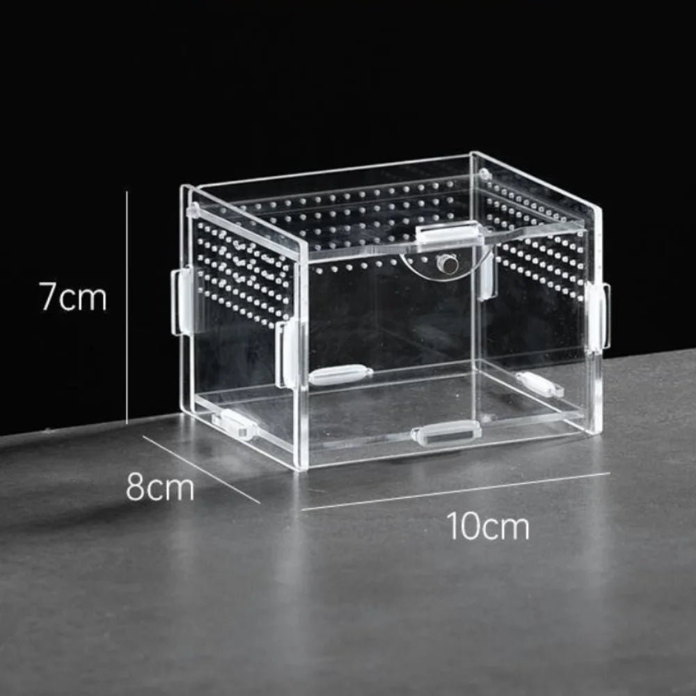 Durable Acrylic Reptile Habitat Clear Multiple Size Spider Feeding Case Arboreal Anti-Escape Lizard Breeding Box for Chameleon Oasis Select 8X7X10cm-Horizontal