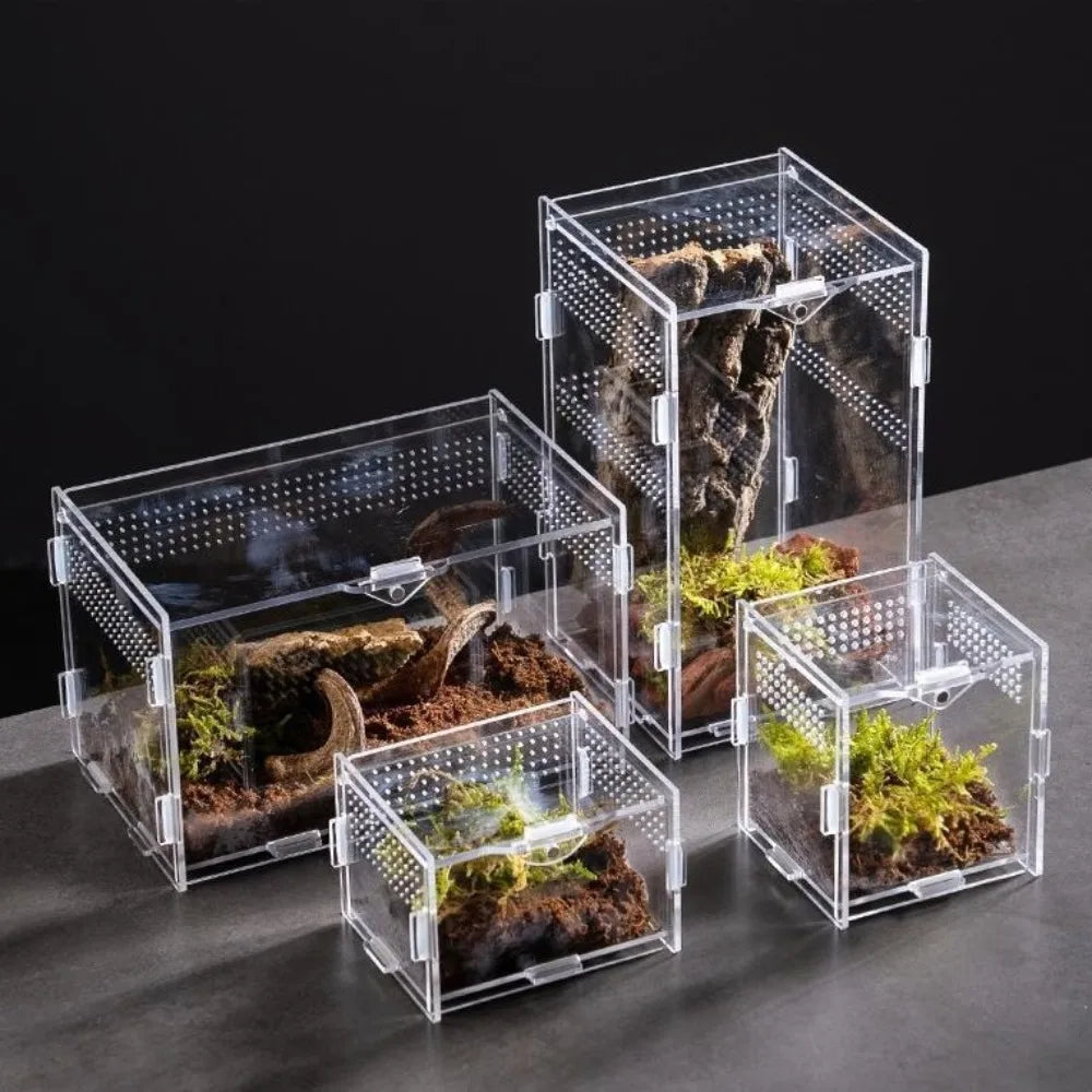 Durable Acrylic Reptile Habitat Clear Multiple Size Spider Feeding Case Arboreal Anti-Escape Lizard Breeding Box for Chameleon Oasis Select