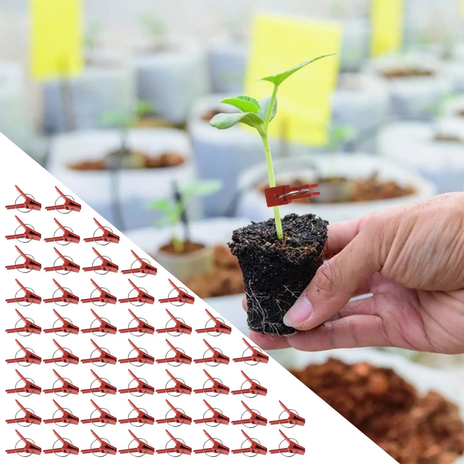 Plant Grafting Clips Pack Of 50 Plant Fixing Clamp Falt Mouth Climbing Supports Connects For Vegetable Vine Gardening Connector Oasis Select