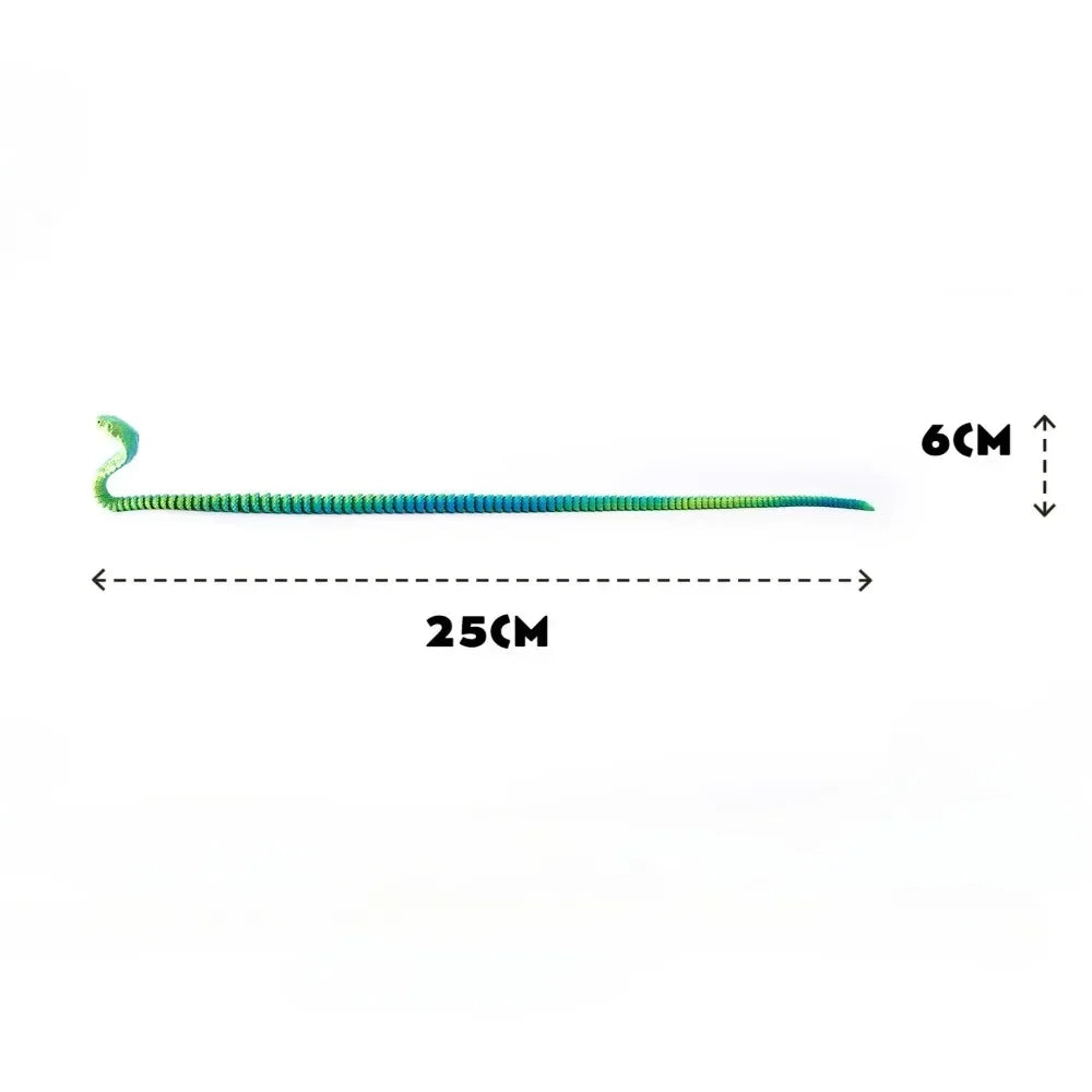 25cm 3D Printed Snake 3D Printed Figure Desk Accessories Toy for Kid 3D Printed Dragon Room Desktop Ornament Office Accessories Oasis Select