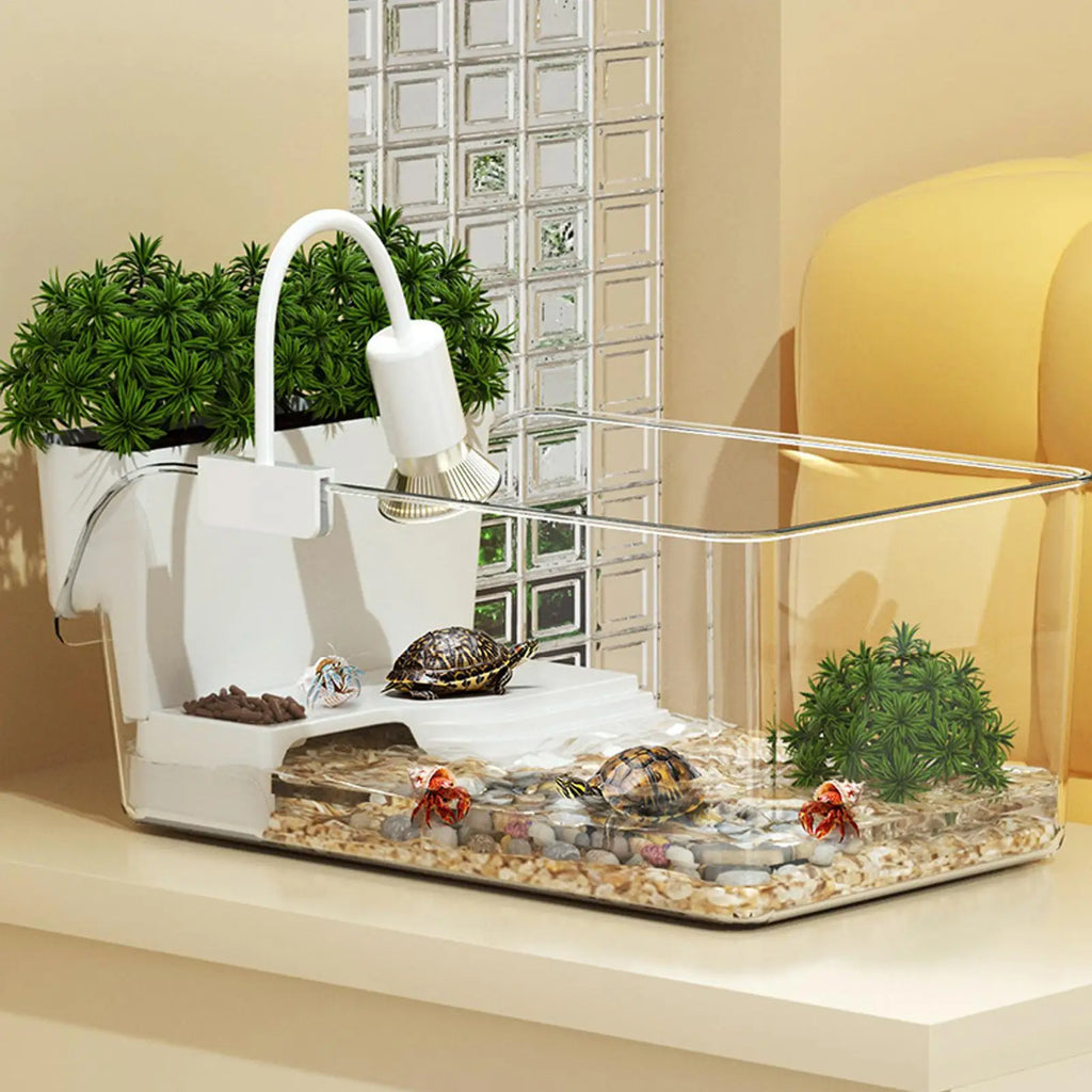 Aquatic Turtle Tank Reptile Habitat Box Transparent Small Tortoise Breeding Box for Reptile Crab School Science Class Nature Oasis Select Default Title